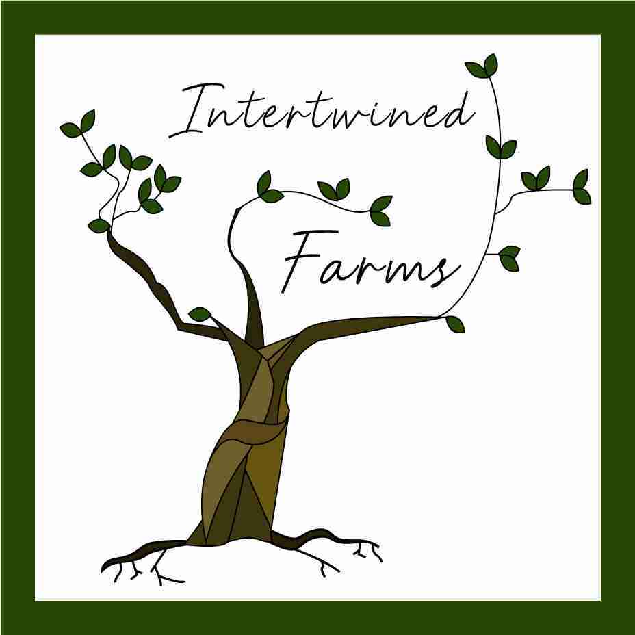 The logo for Intertwined Farms, a regenerative agriculture business.
