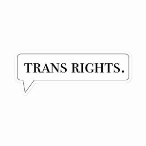 A sticker of a speech bubble with the text "Trans Rights".