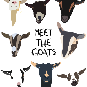 "Meet the Goats" sticker pack