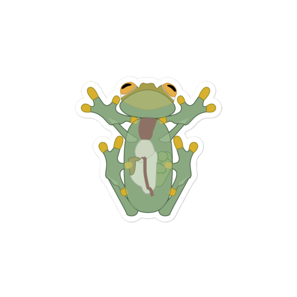 "Glass Frog" sticker Missing Link Artistry