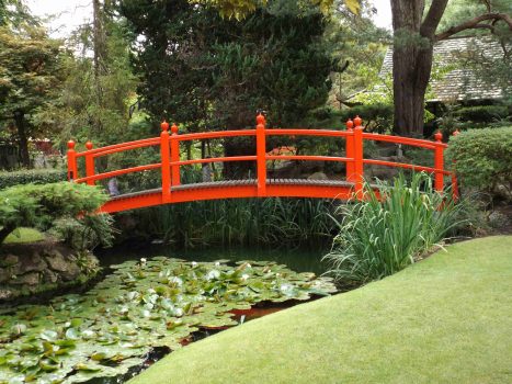 A bright red bridge stands out against the dense green foliage. It spans a small body of water covered in lily pads.